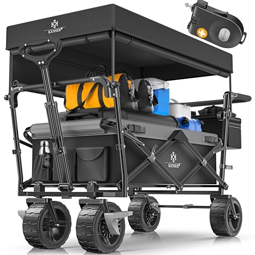 KESSER® Carrinho dobrável GT9000 carro com teto, inclui 2 X sistemas de cintos de 3 pontos, pneus de borracha maciça, até 80 kg, travão dianteiro e traseiro bolsa de transporte, preto cinzento