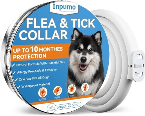 Inpumo Coleira antiparasitária, 12 meses de proteção anti-derrame impermeável fórmula natural adequada para todos os cães 1 embalagem (1 pacote)