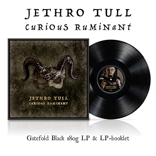 Curious Ruminant Black