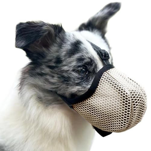 Bozal anti-ingestas, açaime cão, evita que mastigue/alimente/morder boozal para cães pequenos, ajustável refletor, respirável bozales para cães grandes (bege, L)