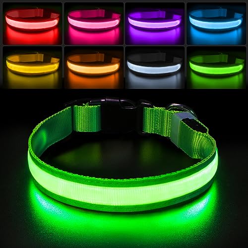 PcEoTllar Coleira luminosa cão, coleira luzes recarregáveis cão, 8 modo coleira LED cão impermeável e 7 cores, iluminação ajustável coleiras LED para cães pequeno médio grande, verde L
