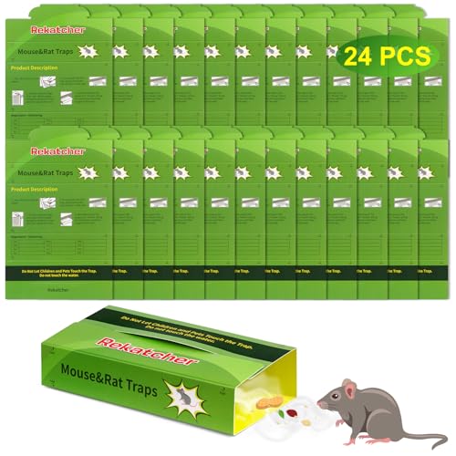 Armadilha para ratos 24 peças, eficaz armadilha ratos mata ratos ratos adequado para o porão do armazém de cozinha, verde