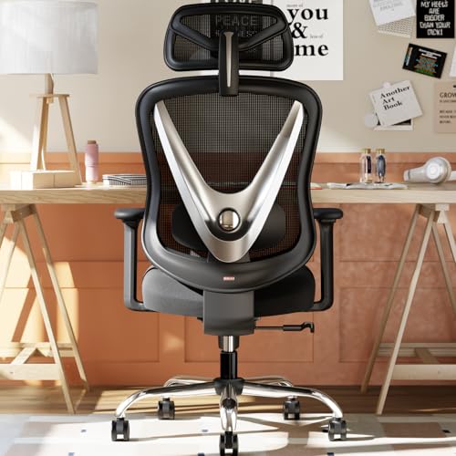 HOLLUDLE Cadeira de escritório ergonómica com suporte lombar 3D e apoios de braços 3D ajustáveis, design em forma de V, cadeira de secretária confortável para escritório e casa, preta