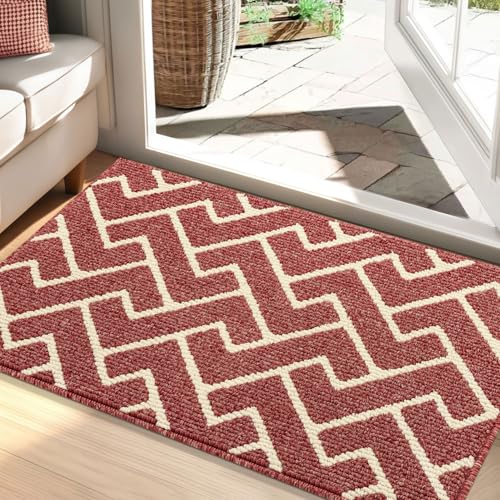 Biscpro Capuz de entrada de casa, 60 x 90 cm felpudo tapete absorvente entrada impermeáveley lavável para apanhar, tapete antiderrapante, exterior, corredor, cozinha, tapete de chuva felpudo -