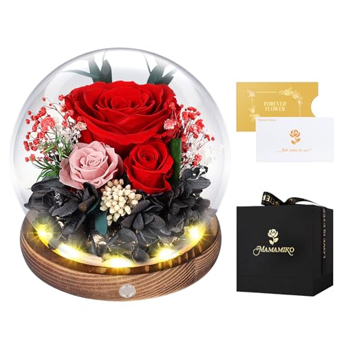 Rosa ethernet em cúpula de crista, LED, rosa preservada por 5 anos, flores eternas, ideias rosas naturais presentes para mulher, mãe, namorada, dia da mãe, dia dos namorados, aniversário (vermelhas)