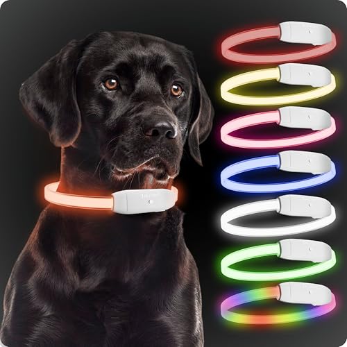 PAJ GPS - PAJ Light - Coleira luminosa de alta intensidade para cães de todos os tamanhos - comprimento ajustável 20 - 70 cm - 100 % impermeável - 7 cores - máxima visibilidade e segurança noturna