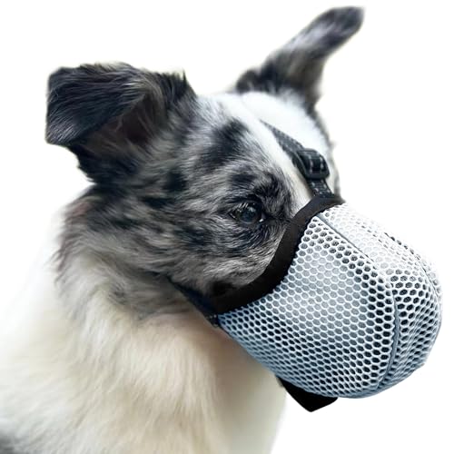 Bozal anti-ingestas, açaime cão, evita que mastigue/alimente/morder boozal para cães pequenos, ajustável refletor, respirável bozales para cães grandes (azul, XL)