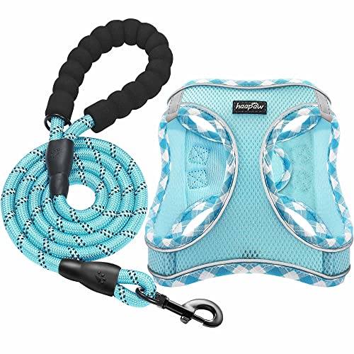 haapaw Conjunto de arnês e trela para cão, sem puxar, ajustável e refletor para cachorros, colete acolchoado para cães extra pequenos/pequenos médios