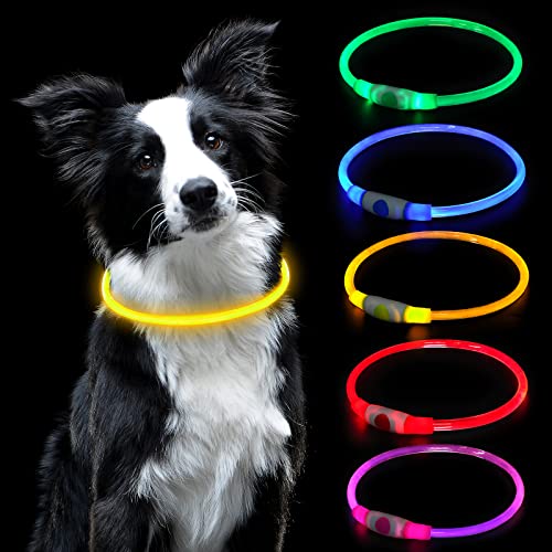 AUAUY Coleira luminosa cão, coleira LED cão recarregável por USB tamanho ajustável, coleira luminosa cão impermeável coleira de segurança reutilizável para cães pequenos médios e grandes (amarelo)