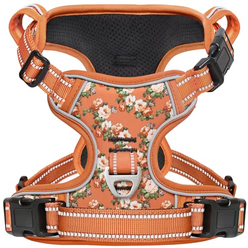 HEELE Arnes cão, arnês cão antipuxões arnês tipo colete com estampado bonito, 3 fivelas de libertação rápida, arnês para cão passeio e treino, arnês para cão grande, flor laranja, M