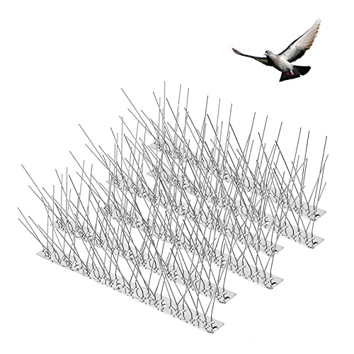 Fuuner Espigas de aço inoxidável, 20 peças 6,6 m sistema anti-pássaros de aço inoxidável cobre picos de aço inoxidável para dissuasão de pássaros, pomba, gaivotasSpikes Bird Spikes 6,6 m 20 unidades