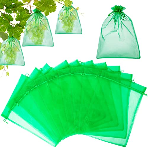 100 peças Sacos protetores Uvas cordão 30 x 40 cm organza malha proteção frutas jardim mordidas vispas mosca Drosophila outros insetos (verde - 2)