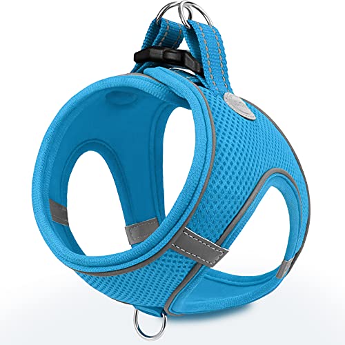 Joytale Arnês cão, refletor, confortável e respirável, arnês para cães colete para gato e cachorros, azul, S