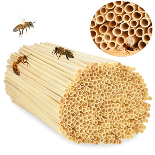 500 tubos ninhos para hotel de insetos, 20 cm palhinhas de trigo para casa de insetos, tampões de ninho para abelhas selvagens, acessórios para casa de insetos, hotel de abelhas, casa de abelhas