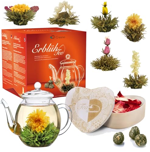 Creano Conjunto de presente flores de chá florido misturado em caixa de madeira em forma de coração - 6 tipos de chá branco incl. Chaleira de vidro, 500 ml