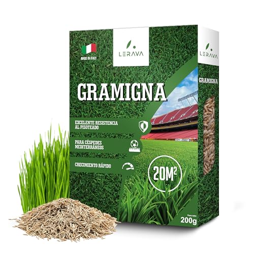 LERAVA® Sementes de relva de grama [Pisable] - 20 m² - sementes de relva resistentes à seca - ideal para relvas mediterrâneas e costeiras - consome 20 % menos água - 200 g de sementes de grama