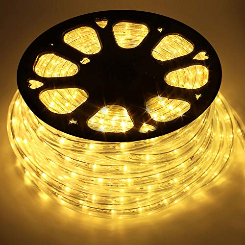 Forever Speed 30 m tubo de LED mangueira, LED de tira de mangueira exterior e interior, tiras LED mangueira para decoração e iluminação de Halloween, casamento, festa, Natal branco quente