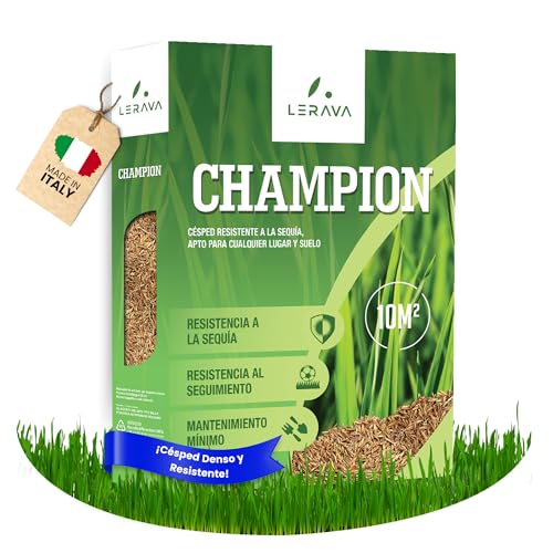 LERAVA® CHAMPION sementes relva resistente - 30 m² - sementes de relva resistente à seca - semente para relva - sementes de relva baixo consumo de água - semente relva