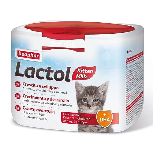 Beaphar Lactol - Leite de substituição para gatinhos - comida complementar para gatinhos desmamados, mulheres grávidas ou lactantes e gatos doentes ou convalescentes - 250 g