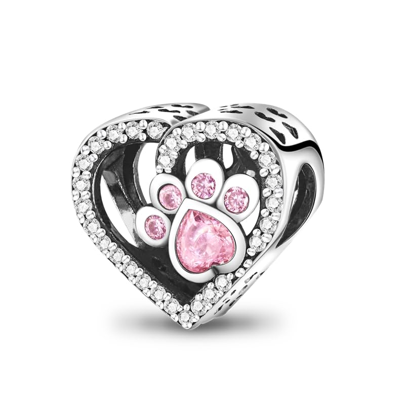 XWN Charms contas de pingente para mulher, prata de lei 925, compatível com pulseiras e colares Pandora, compatível com pulseiras europeias para mulheres e meninas X121