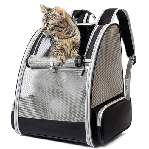 Transportin gato mochilas para gatos e cães, mala portátil e dobrável para gatos, bolsa respirável e leve para cães, mochila de viagem para cães pequenos