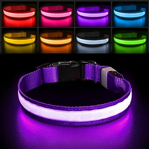 PcEoTllar Coleira luminosa cão, coleira luzes recarregáveis cão, 8 modo coleira LED cão impermeável e 7 cores, iluminação ajustável coleiras LED para cães pequeno médio grande, roxo-M