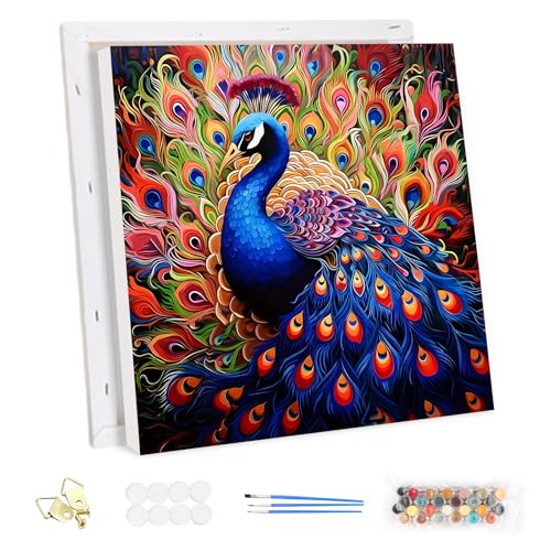 MEIYUDA Pintar por NSJFS Adultos com moldura pavão real arco-íris, DIY quadro a óleo com números para, kit de pintura a óleo digital para adultos de tela, decoração para a casa 30 x 30 cm