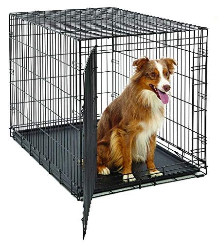 MidWest Homes for Pets Life Stages modelo 1642U Gaiola dobrável para cães recém-otimizada, tamanho grande e comprimento de 106,68 cm, com uma só porta, metálica, cor preta