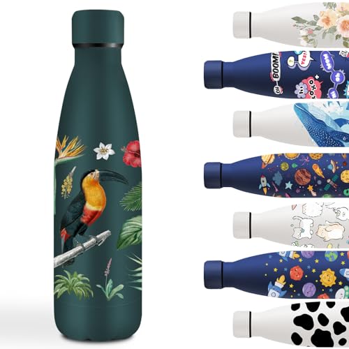 Garrafa de água de aço inoxidável 500 ml, cantil de aço inoxidável, fácil de transportar, garrafa de água personalizada com estrela de pássaro, à prova de fugas, para a escola, escritório, verde