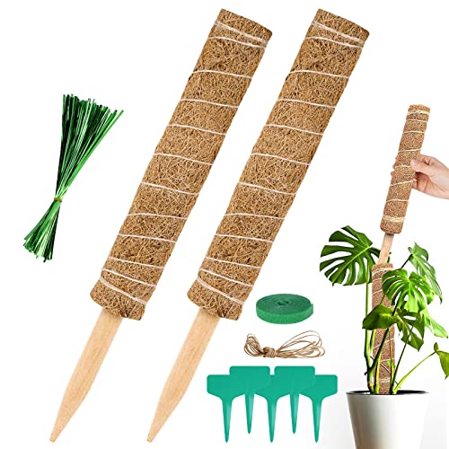 Vicloon Tutores para plantas, 2 unidades de 40 cm vara de musgo, suporte para plantas de totem com 2 m corda de juta e 5 etiquetas, poste de coco empilhável, para plantas escaladoras interior ao ar