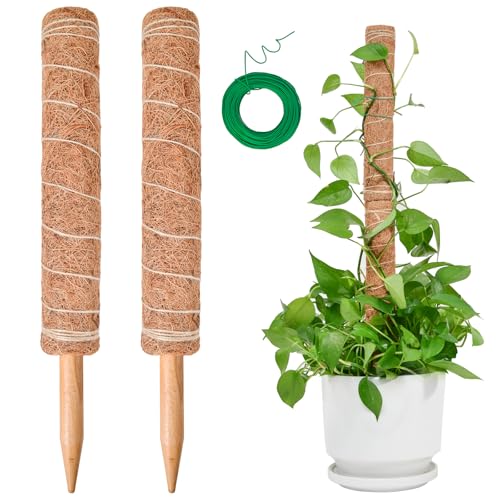 Tutores para plantas de trepadeira, SproutMaven 2 peças, 40 cm, tutores para mosteira, bastões de totem de coco de 68 cm, monitor para extensão de suporte para trepadeiras e mosteira