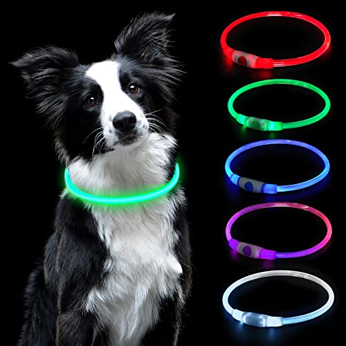 AUAUY Coleira LED luminosa recarregável USB para cão - tamanho ajustável, impermeável, segurança reutilizável - pequeno, médio e grande - 5 cores