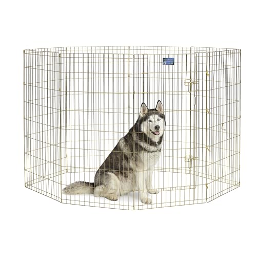MidWest Modelo 548-48 parque para cães, metálico, dobrável e com porta, 60,96 x 121,92 cm (largura x altura), acabamento em zinco dourado