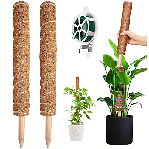 YAUNGEL tutores para plantas, 2 peças de 41 cm de Moss Stick, suporte para plantas de totem, estacas de coco empilháveis, laços de 20 m para apoiar plantas de interior