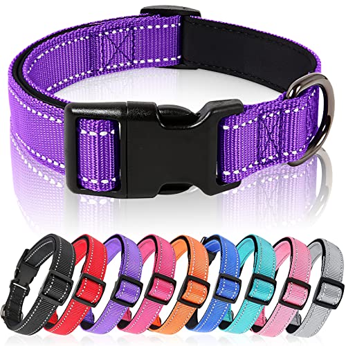 HEELE Coleira cão, coleira de nylon refletor neoprene forrado ajustável para cão grande, roxo, L