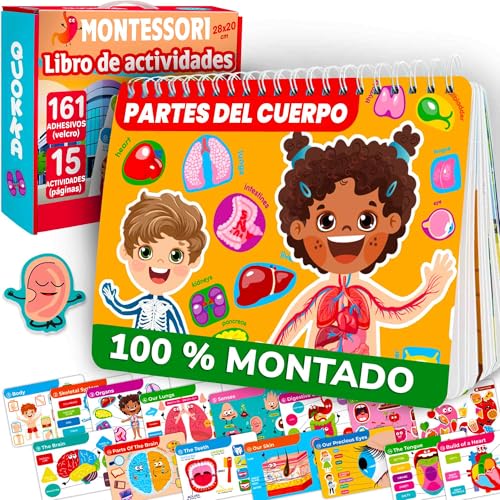 QUOKKA Busy Board Montessori 12 Ano - versão em inglês - livro sensorial bebé com 15 temas sobre o corpo humano - Busy Book jogos Montessori 3 4 anos - presente educativo para meninos e meninas