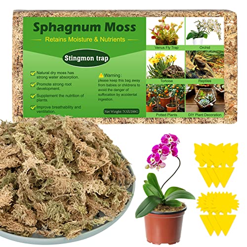Musgo Sphagnum Terra para plantas musgo Sphagnum natural musgo para orquídea musgo vivo substrato bonsai substrato orquídeas substrato plantas 200 g e armadilha moscas armadilha armadilha mosquitos