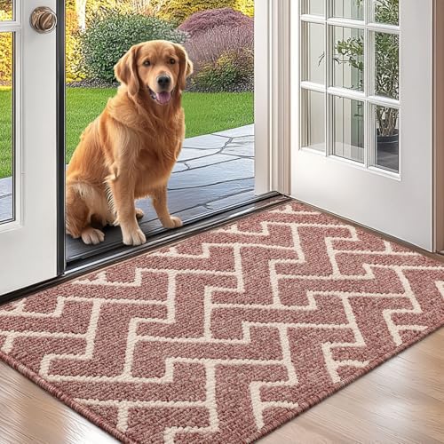 Biscpro Capuz de entrada de casa, 60 x 90 cm felpudo tapete absorvente entrada impermeáveley lavável para pegar, tapete antiderrapante, exterior, corredor, cozinha, tapete de chuva felpudo - rosa