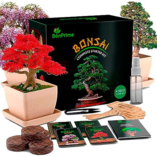 BonPrime Kit bonsai para iniciantes - Horto urbano com 4 sementes bonsai, 4 vasos de bambu, 4 turbas, 4 marcadores, pinças, spray - mini horta em casa - conjunto de cultivo de bonsai