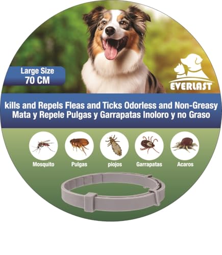 Coleiras anti-parasitas para cães, coleira Leishmaniose - 8 meses de proteção - contra pulgas carrapatos mosquitos ácaros e piolhos - (70 cm 1unidade)