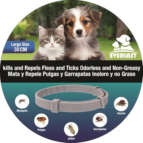 Colar anti-parasitário Colar Leishmaniose, cães e gatos, 8 meses de proteção, contra pulgas carraças mosquitos ácaros e piolhos, tamanhos pequenos (38 cm 1 unidade)