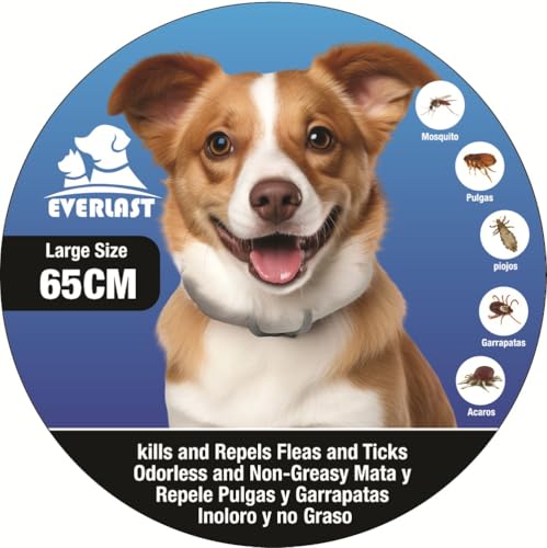 Coleira antiparasitária cães Tempotech - 8 meses de proteção contra pulgas, carrapatos, mosquitos e ácaros, 65 cm, ajustável, eficaz e seguro, coleira Leishmaniose cães